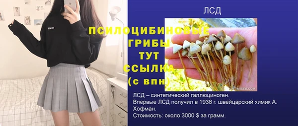 крисы Армянск