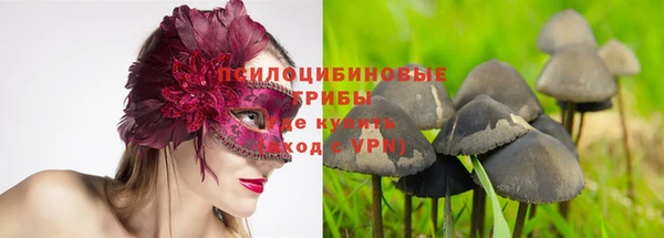 крисы Армянск