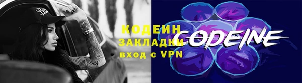 крисы Армянск