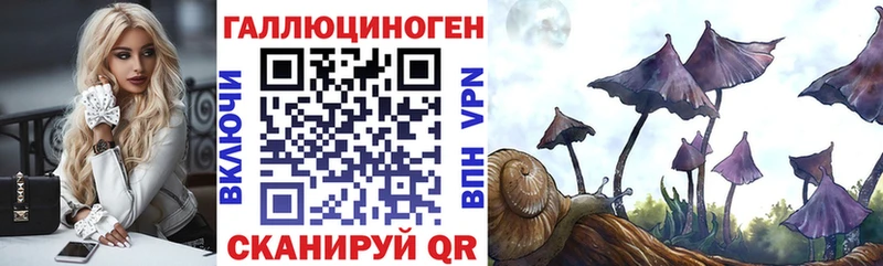 купить   Карачаевск  Псилоцибиновые грибы прущие грибы 